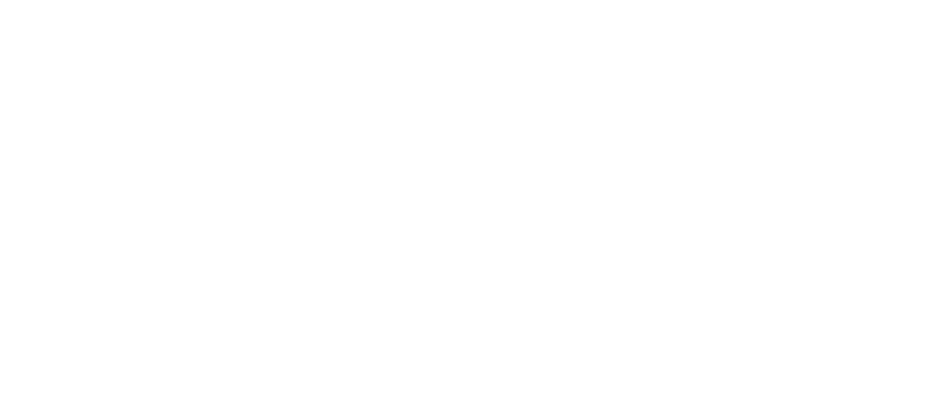 Le Mocassin Zippe